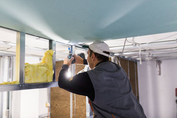 Best Insulation Replacement Services  in Wilkinson Heights, SC