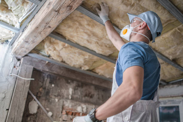 Best Insulation Contractors for Homes  in Wilkinson Heights, SC