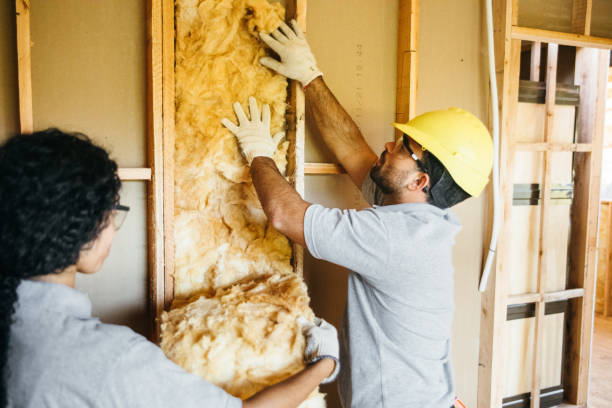 Best Insulation Repair Services  in Wilkinson Heights, SC