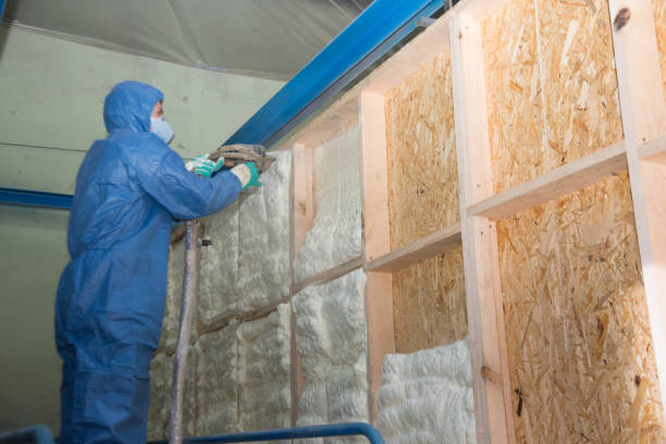 Best Garage Insulation Installation  in Wilkinson Heights, SC
