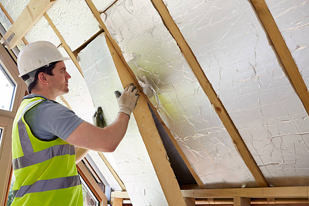 Best Professional Insulation Contractor  in Wilkinson Heights, SC