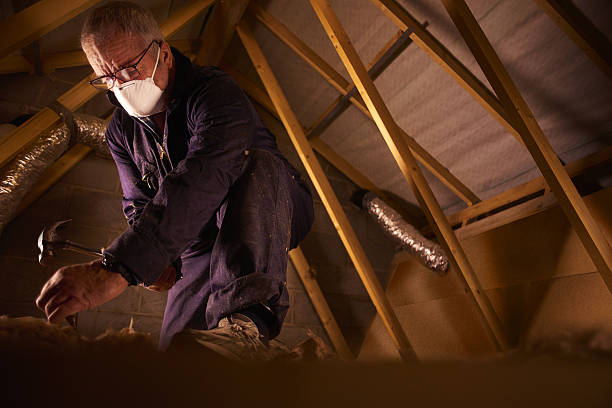 Best Local Insulation Services  in Wilkinson Heights, SC